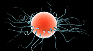 PURSUANT TO § 1-206(B) OF THE ESTATES AND TRUSTS ARTICLE, ARTIFICIAL INSEMINATION ENCOMPASSES IN VITRO FERTILIZATION USING DONATED SPERM; A COURT MAY USE THE GOLDBERGER FACTORS TO DETERMINE VOLUNTARY IMPOVERISHMENT; A TRIAL COURT CAN ISSUE A PERMANENT INJUNCTION FOR HARASSMENT BASED ON § 1-203(A) OF THE FAMILY LAW&nbsp;ARTICLE.