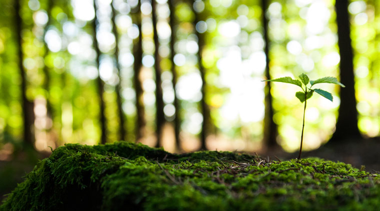 Turning the Tide: Expanding Maryland’s Critical Area Protection Program for Climate Resilience and Environmental&nbsp;Justice